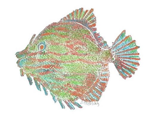 Collograph of a multicoloured blowfish
